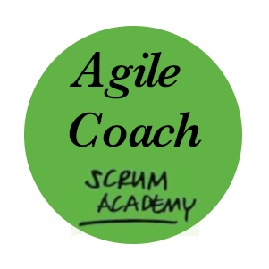 Agile Coach